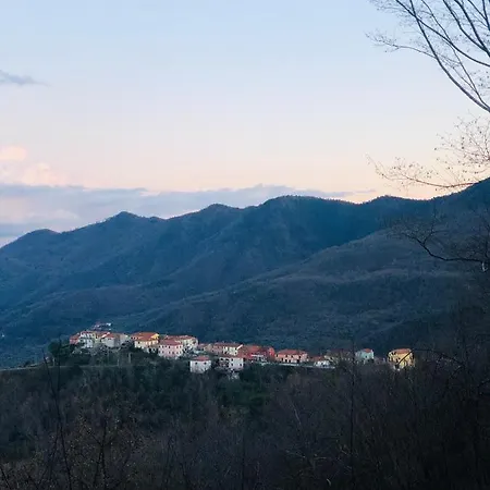 In Nella Zona Incantevole