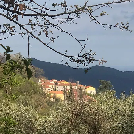 In Nella Zona Incantevole